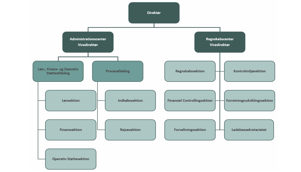 Organisationsdiagram for FRS