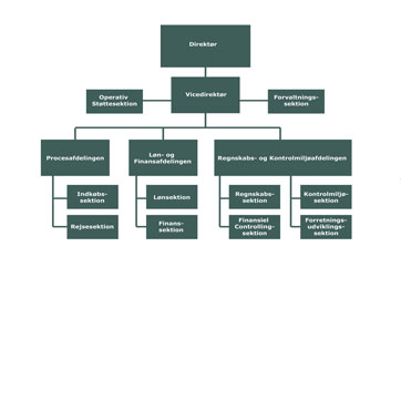 organisationsdiagram FRS til hjemmeside